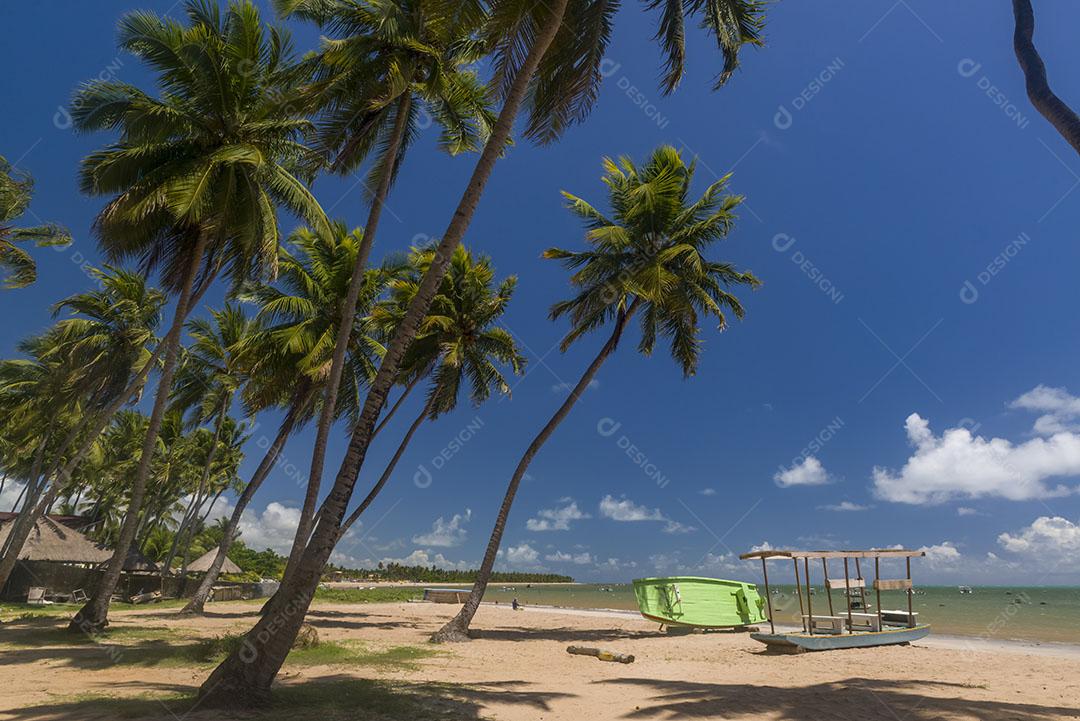 Praia Japaratinga Em Alagoas Imagem JPG