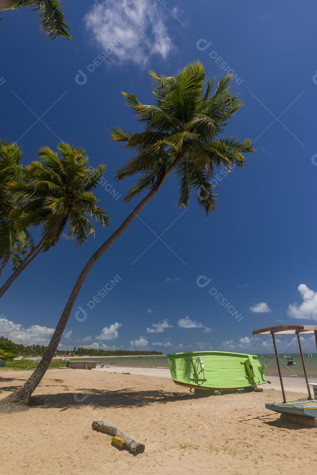 Praia Japaratinga Em Alagoas Imagem JPG