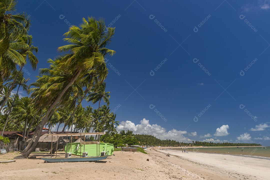 Praia Japaratinga Em Alagoas Imagem JPG