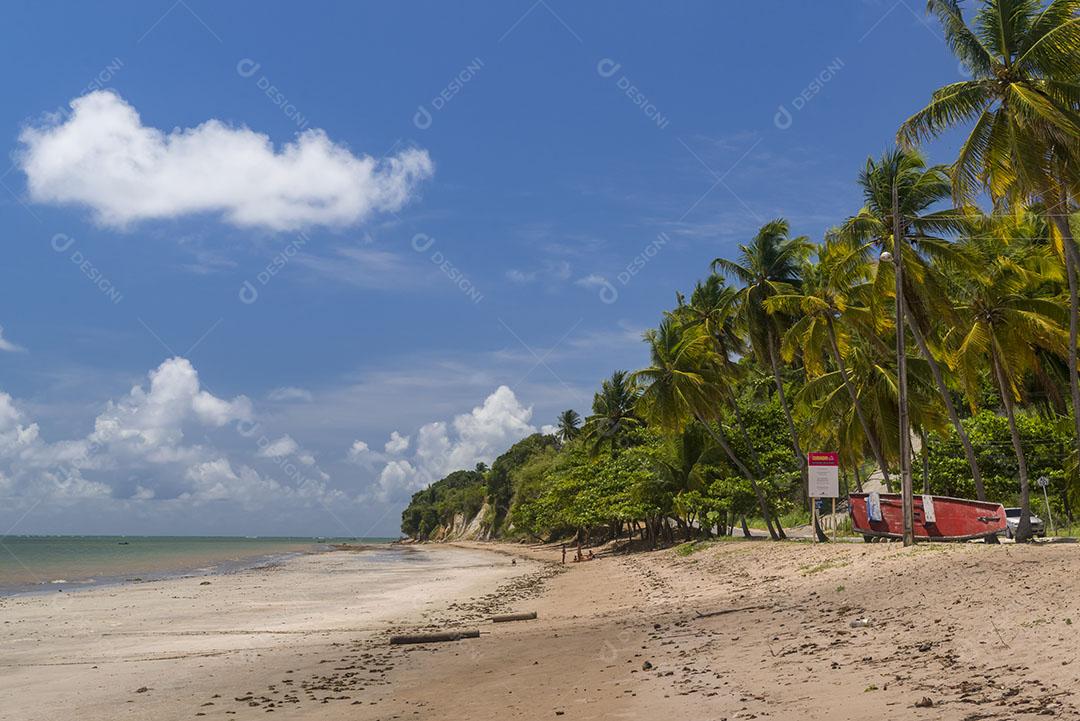 Vista De Praia Japaratinga Em Alagoas Imagem JPG