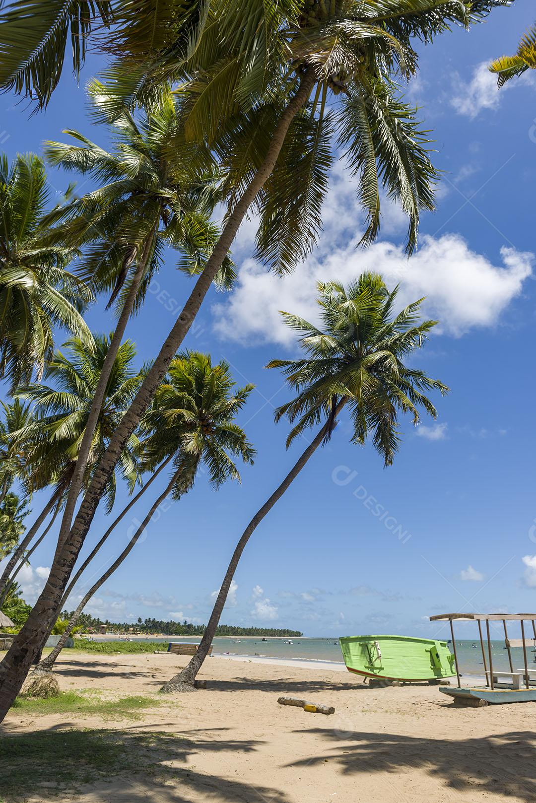 Vista De Praia Japaratinga Em Alagoas Imagem JPG