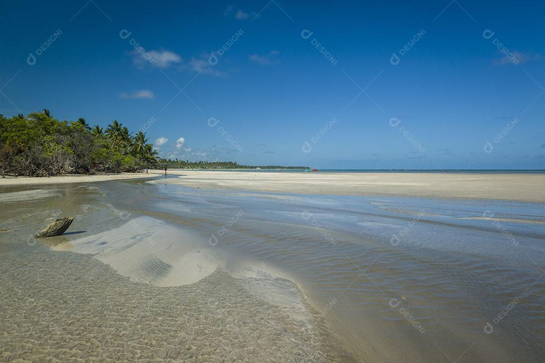 Praia De São Miguel Dos Milagres Imagem JPG