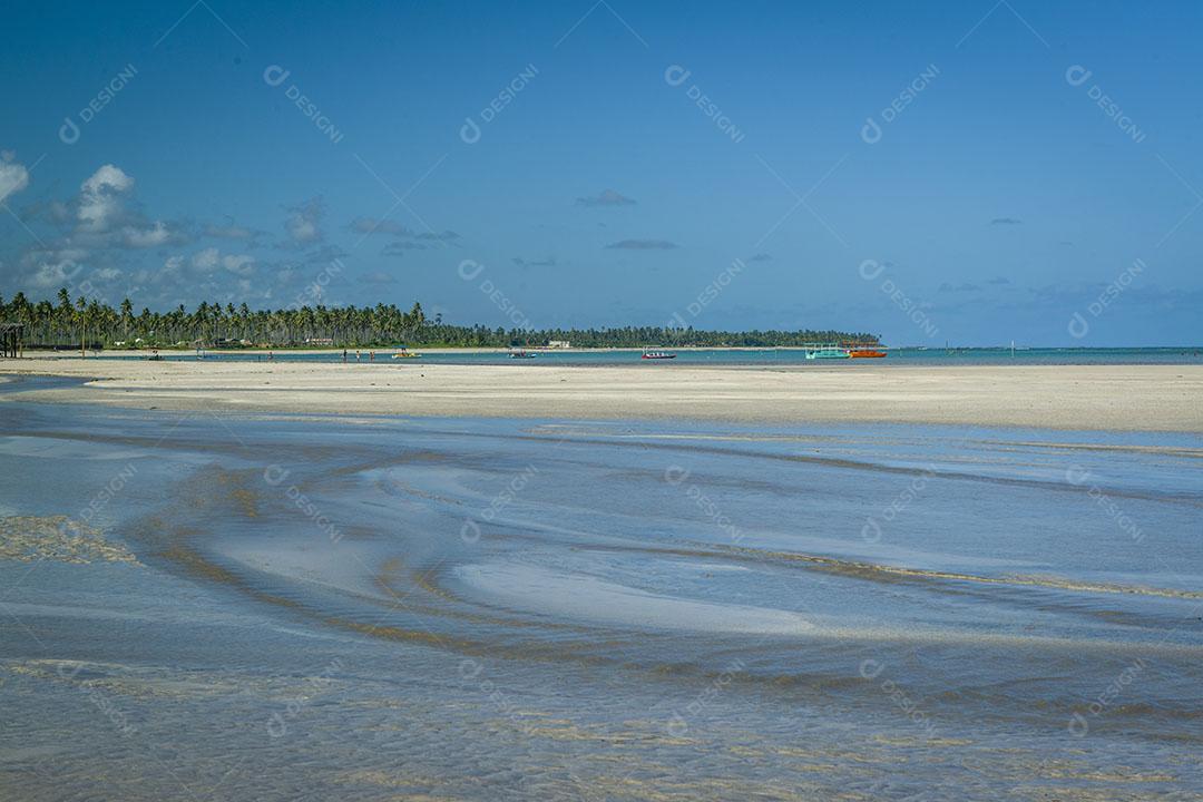 Praia De São Miguel Dos Milagres Vista Pro Mar Imagem JPG