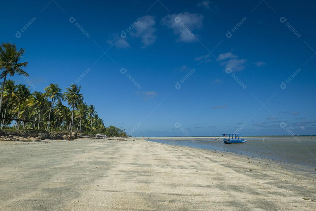 Vista De Praia Em São Miguel Dos Milagres Imagem JPG