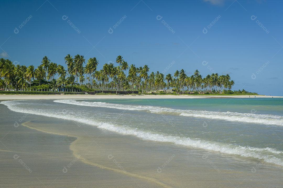 Vista De Praia Em São Miguel Dos Milagres Imagem JPG