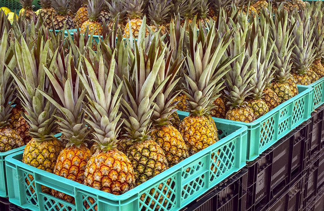 Abacaxi Para Venda Em Mercado Imagem JPG