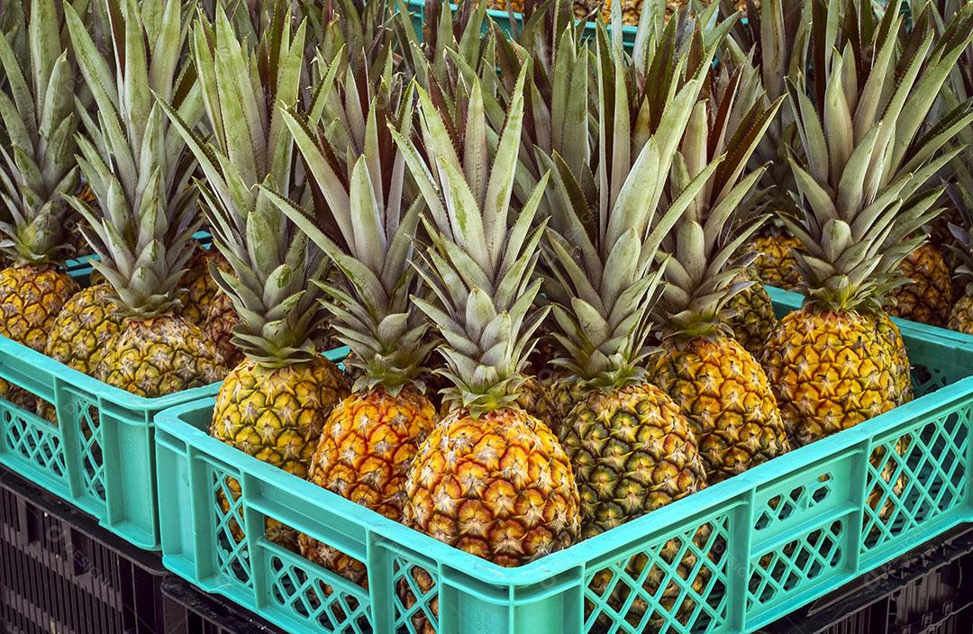 Abacaxi Para Venda Em Mercado Imagem JPG