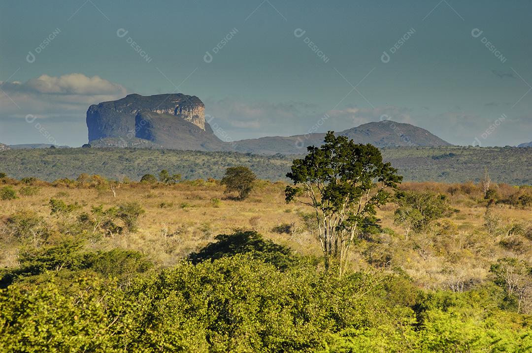 Vegetação Natural No Parque Nacional Da Chapada Diamantina Imagem JPG