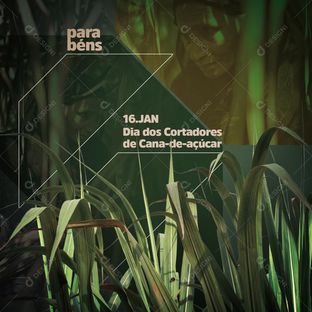 Parabéns Dia Dos Cortadores De Cana De Açúcar Social Media PSD Editável