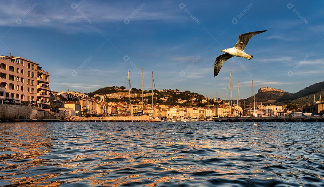 Gaivota Voando Sobre O Porto De Cassis Imagem JPG