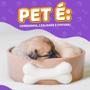Petshop Pet é Companhia Lealdade Social Media PSD Editável
