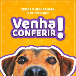Social Media Temos o Melhor Para Seu Pet Aqui PSD Editável