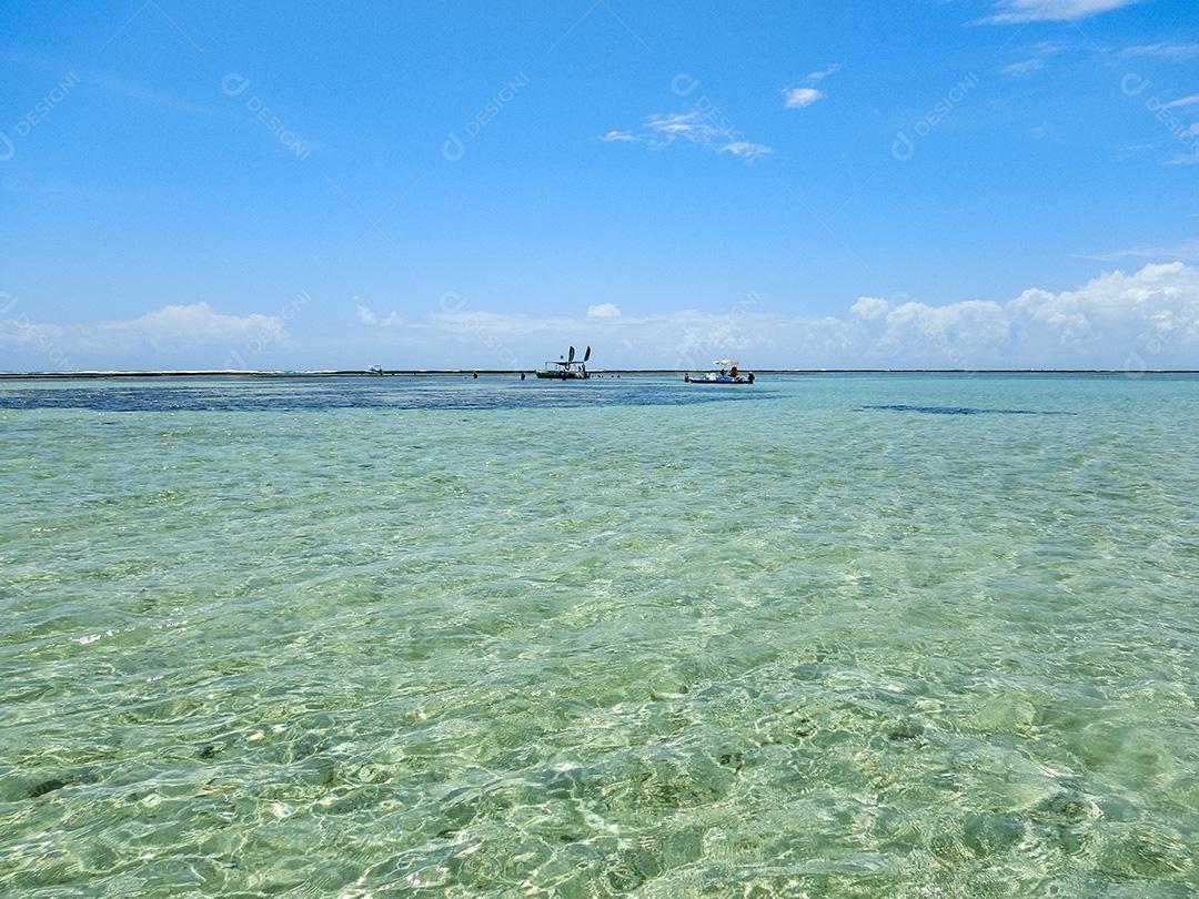 Piscinas Naturais Em Maragogi Imagem JPG