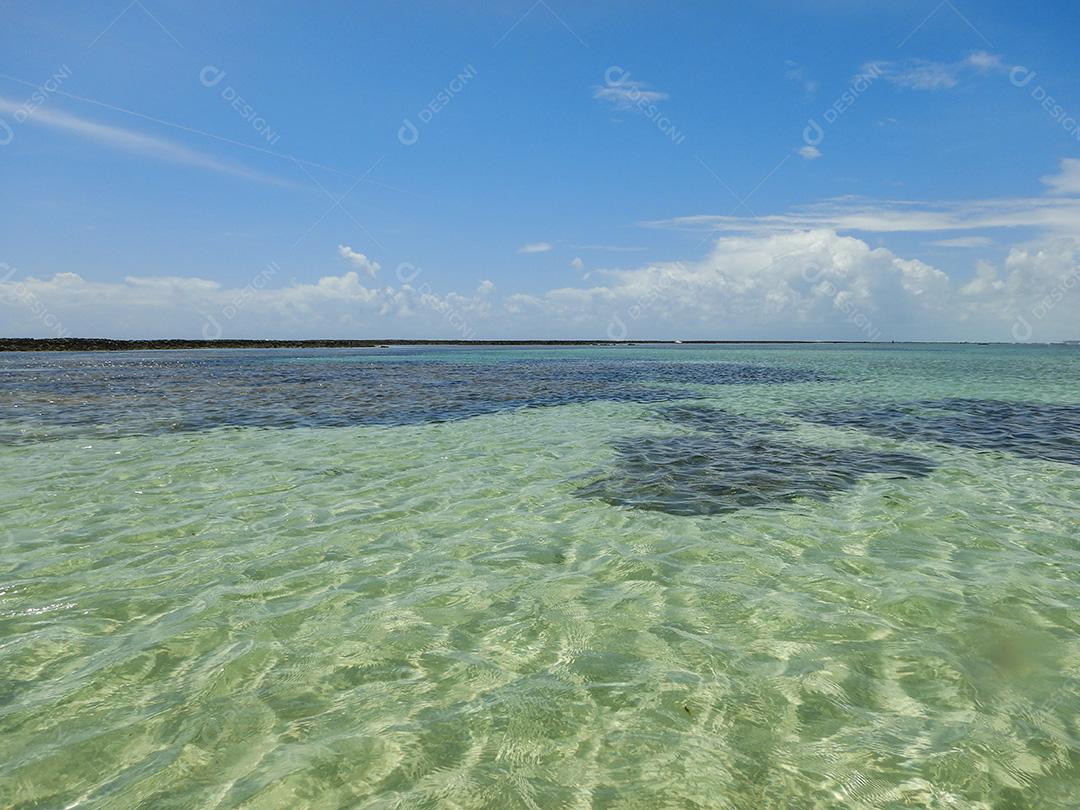 Piscinas Naturais Em Maragogi Imagem JPG