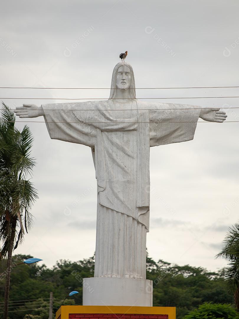 Estátua de Cristo do cemitério da cidade com um íbis de pescoço amarelo da espécie Theristicus caudatus