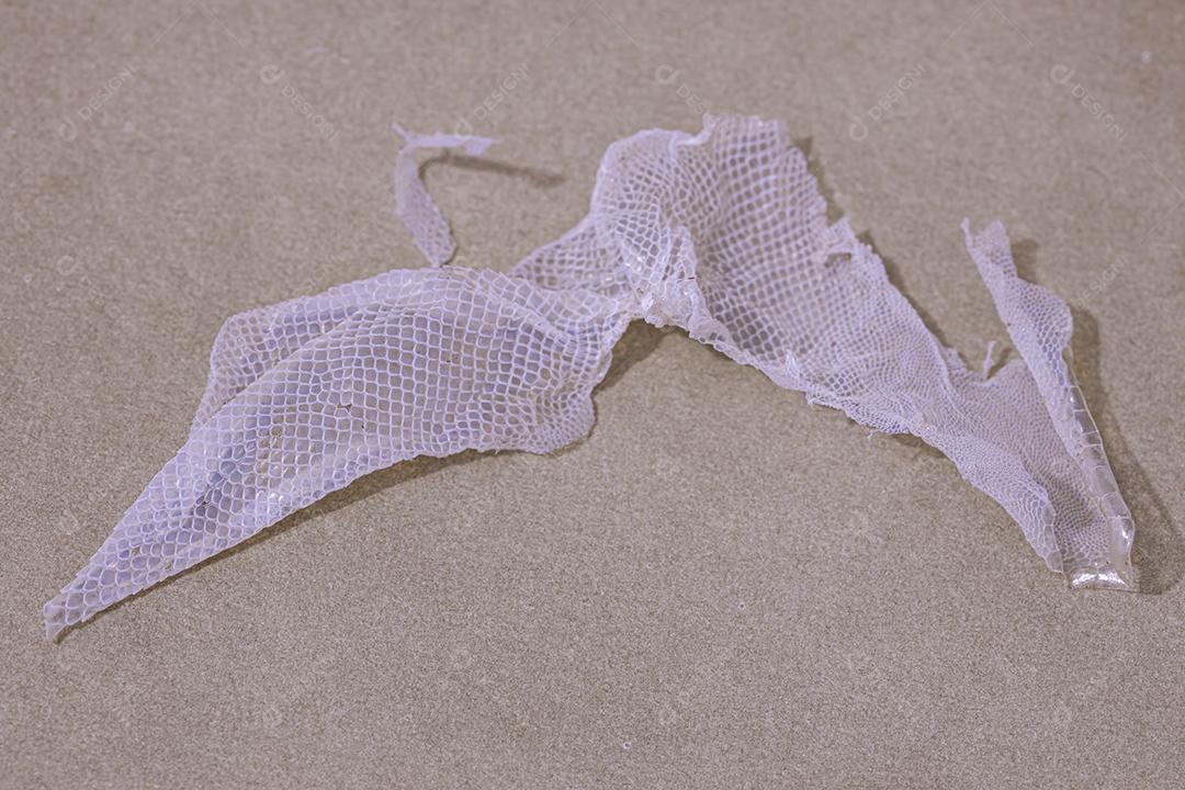 Pele de lagartixa tropical da espécie Hemidactylus mabouia após alteração natural da pele