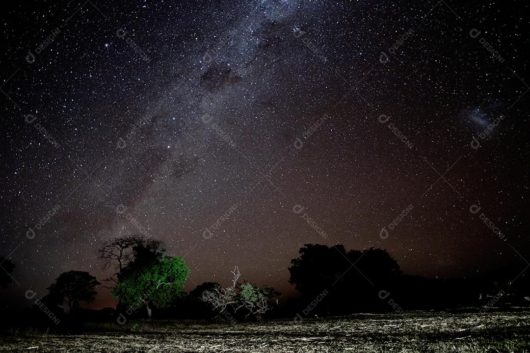 Panorama do céu noturno claro com estrelas e via láctea da via lacteat