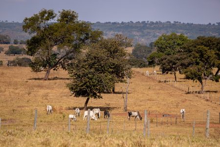 Arquivo