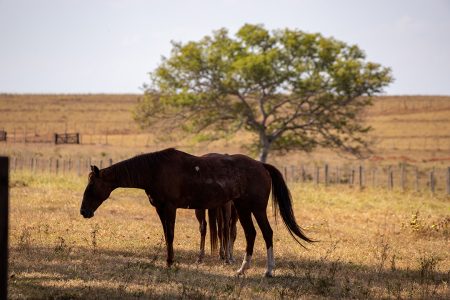 Arquivo