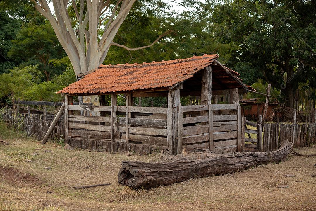 Chiqueiro de madeira pequena em uma fazenda brasileira