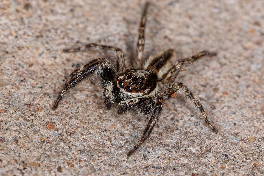 g0019 STOCK_denoise_HIGH__B1A9161-low-light