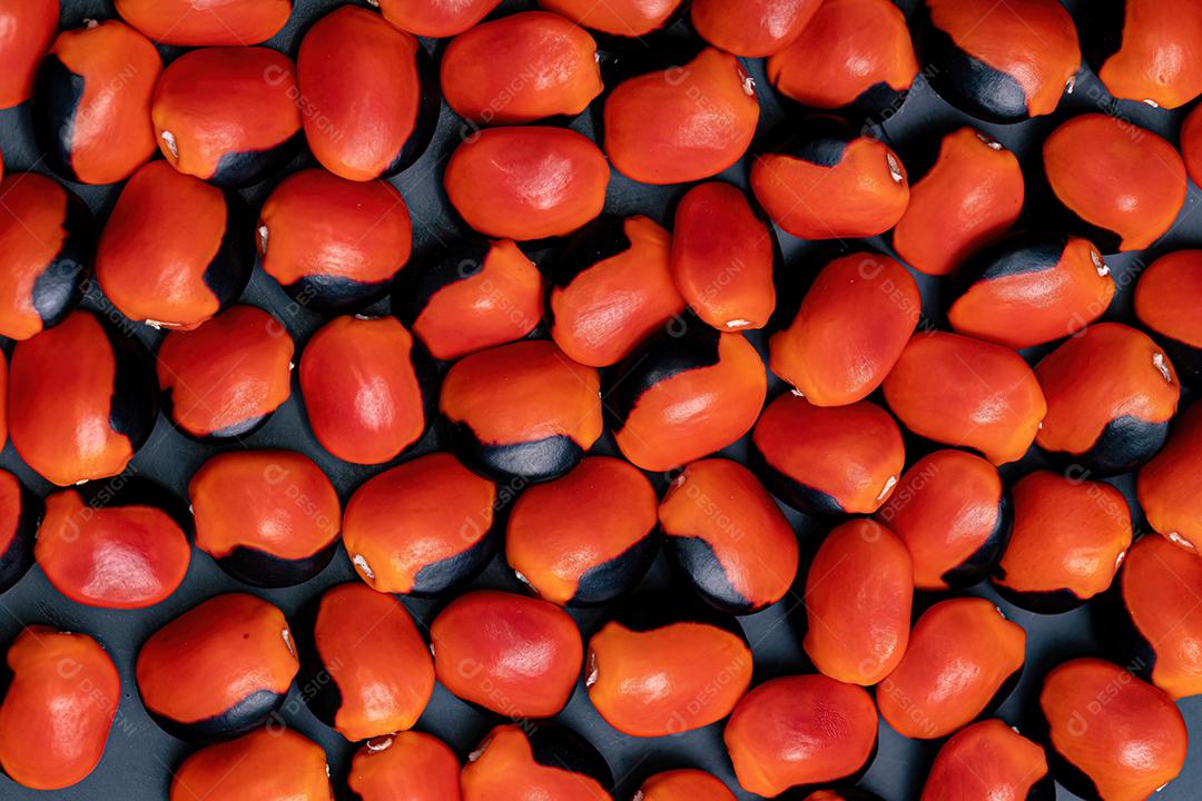 Algumas sementes vermelhas da árvore Ormosia