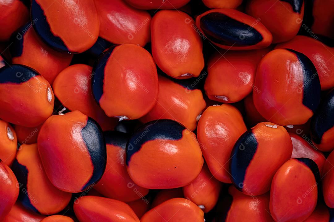 Algumas sementes vermelhas da árvore Ormosia