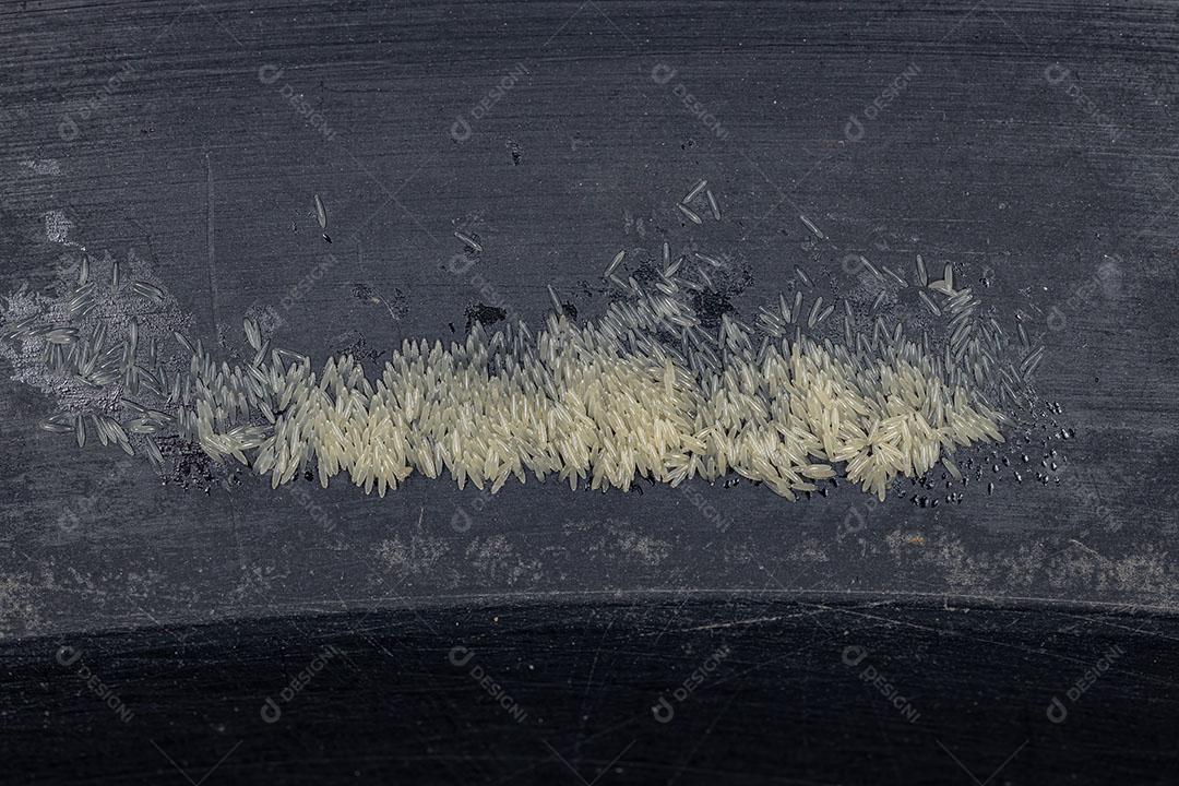 Brachyceran Voa Ovos Brancos da subordem Brachycera Imagem