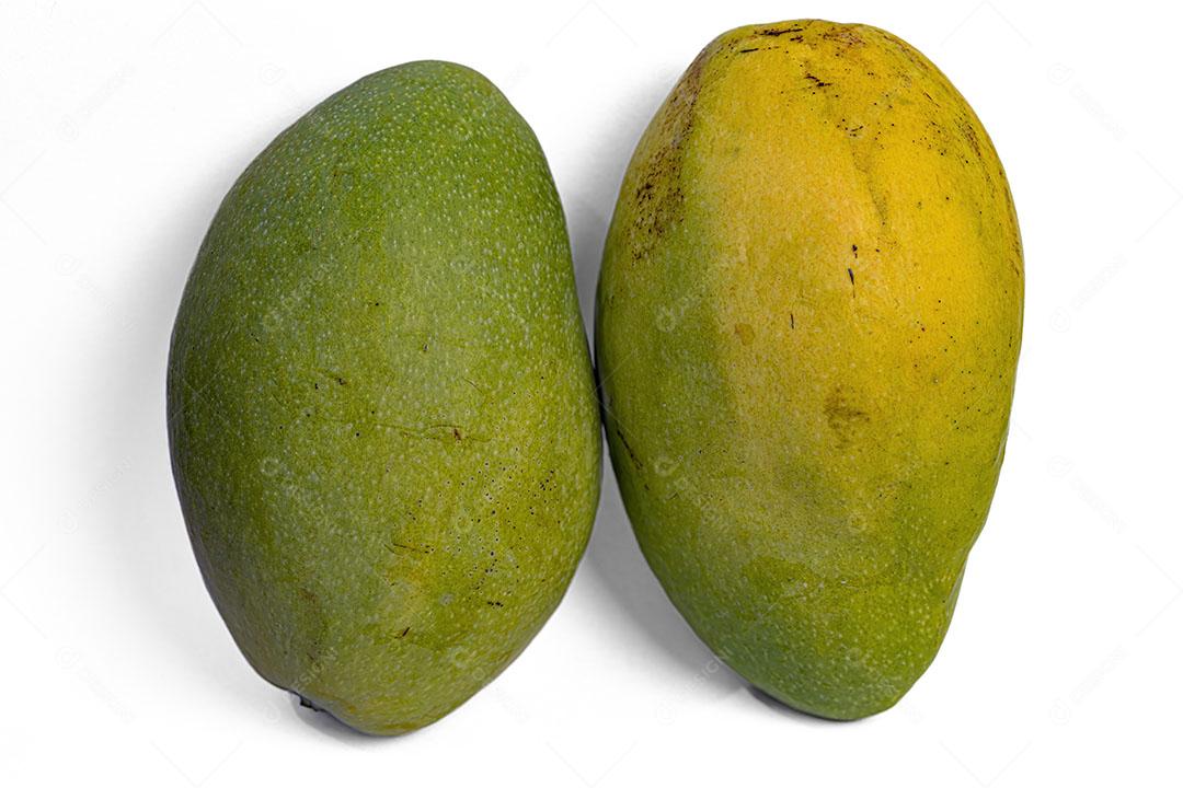 Frutos de Manga Verde com Fundo branco Imagem JPG