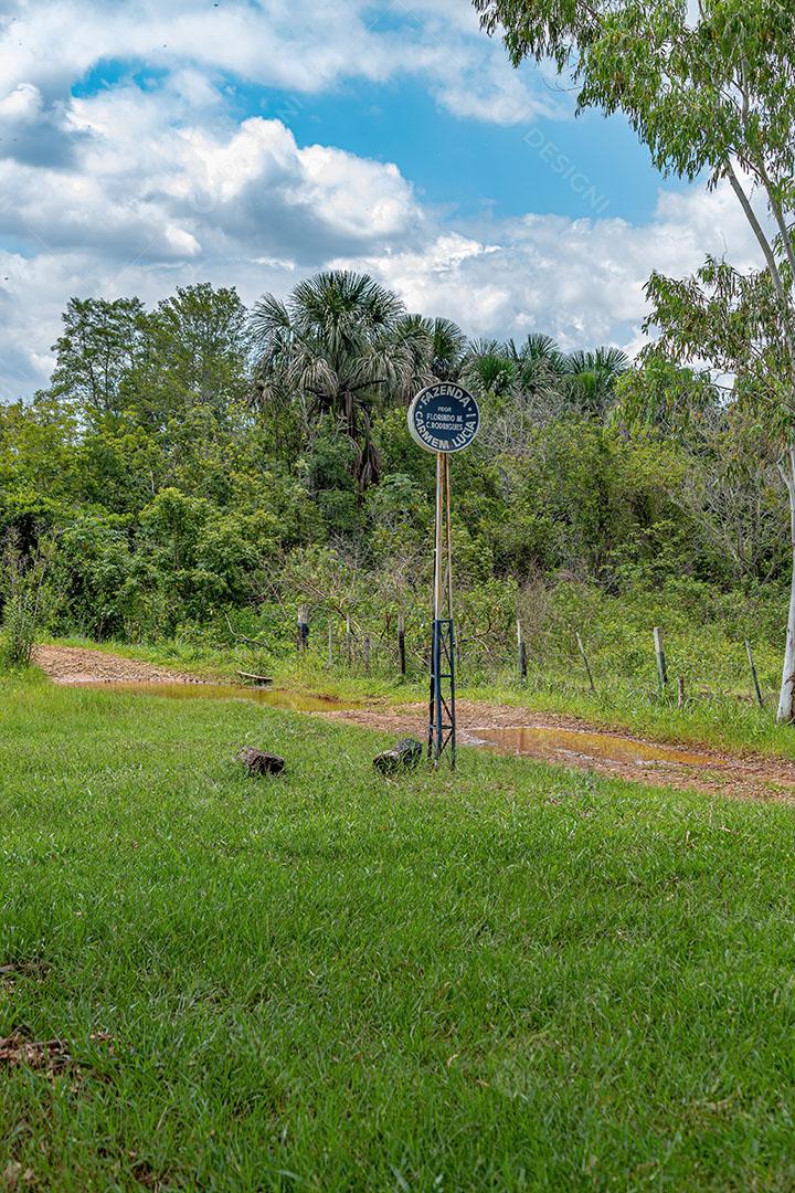 Fazenda Carmem Lucia no Interior da Cidade Itaja Goias JPG