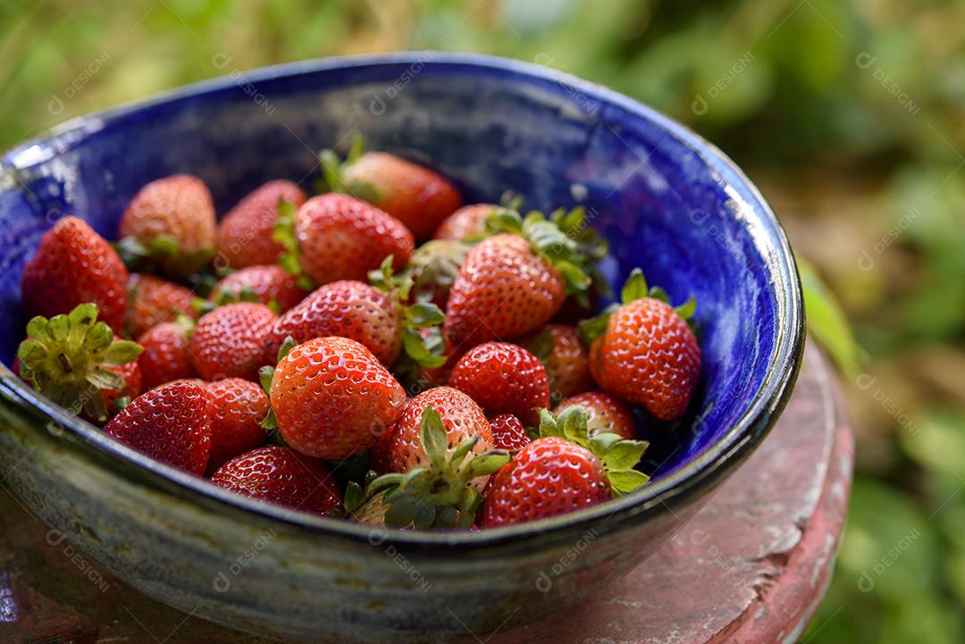 Morangos Em Uma Vasilha Azul Imagem JPG