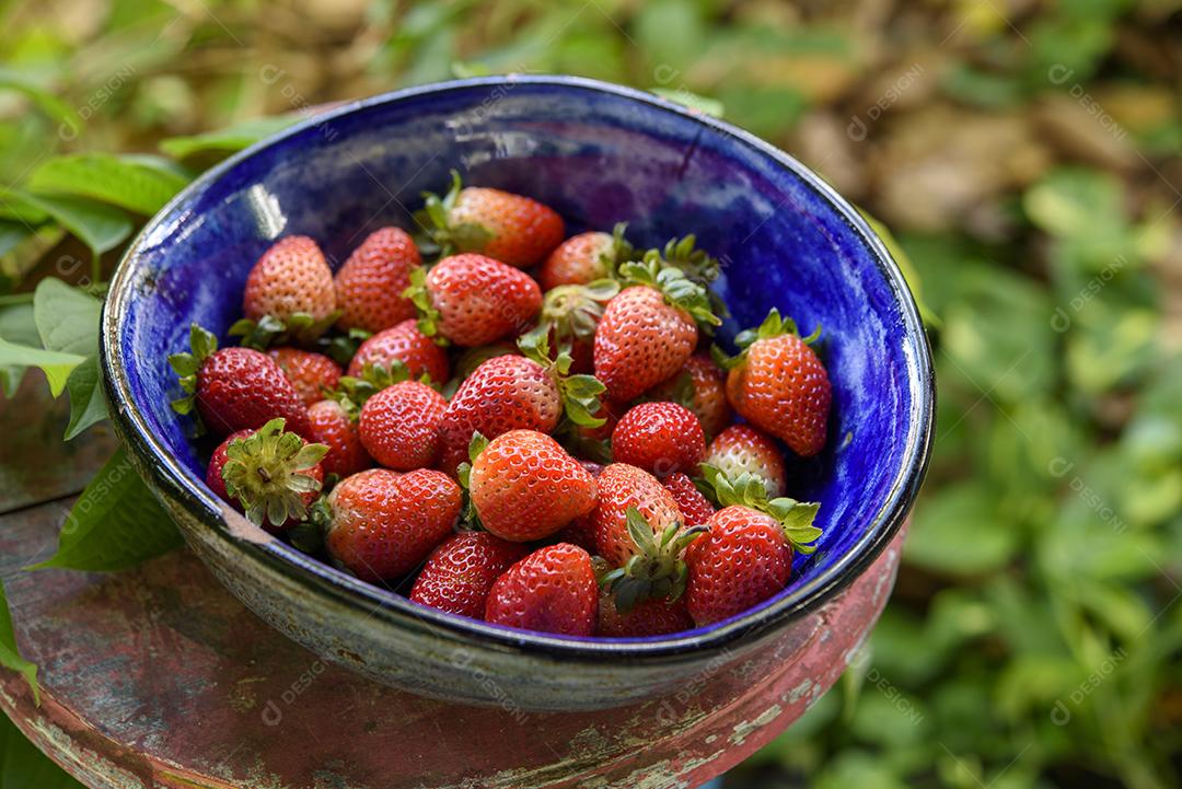 Morangos Em Uma Vasilha Azul Imagem JPG