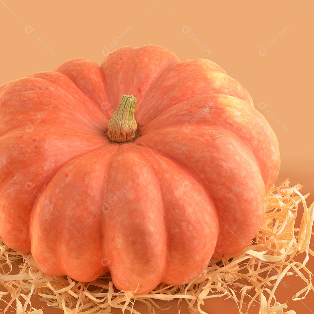 Abóbora moranga madura com palha em close