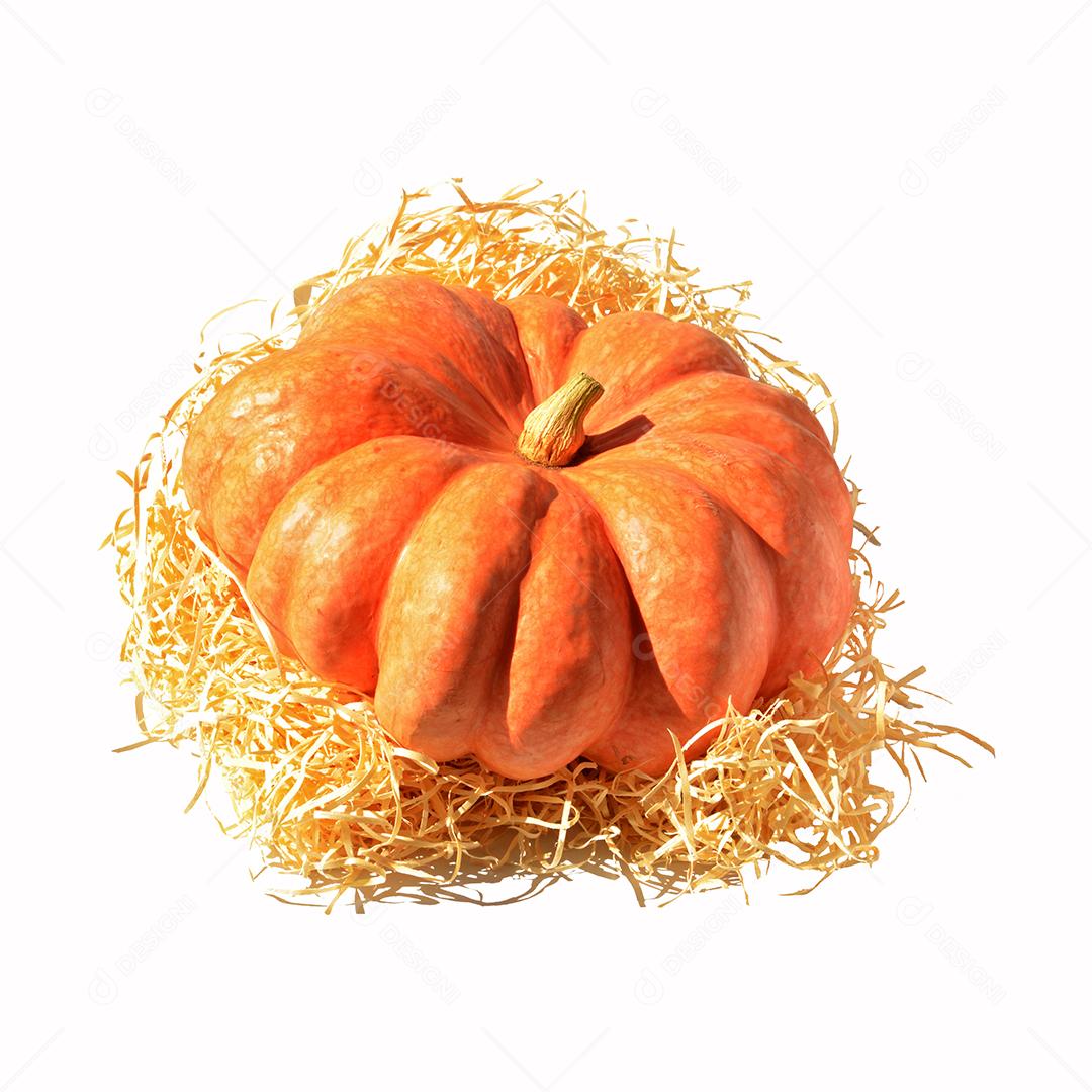 large ripe squash squash isolated with straw in sunlight