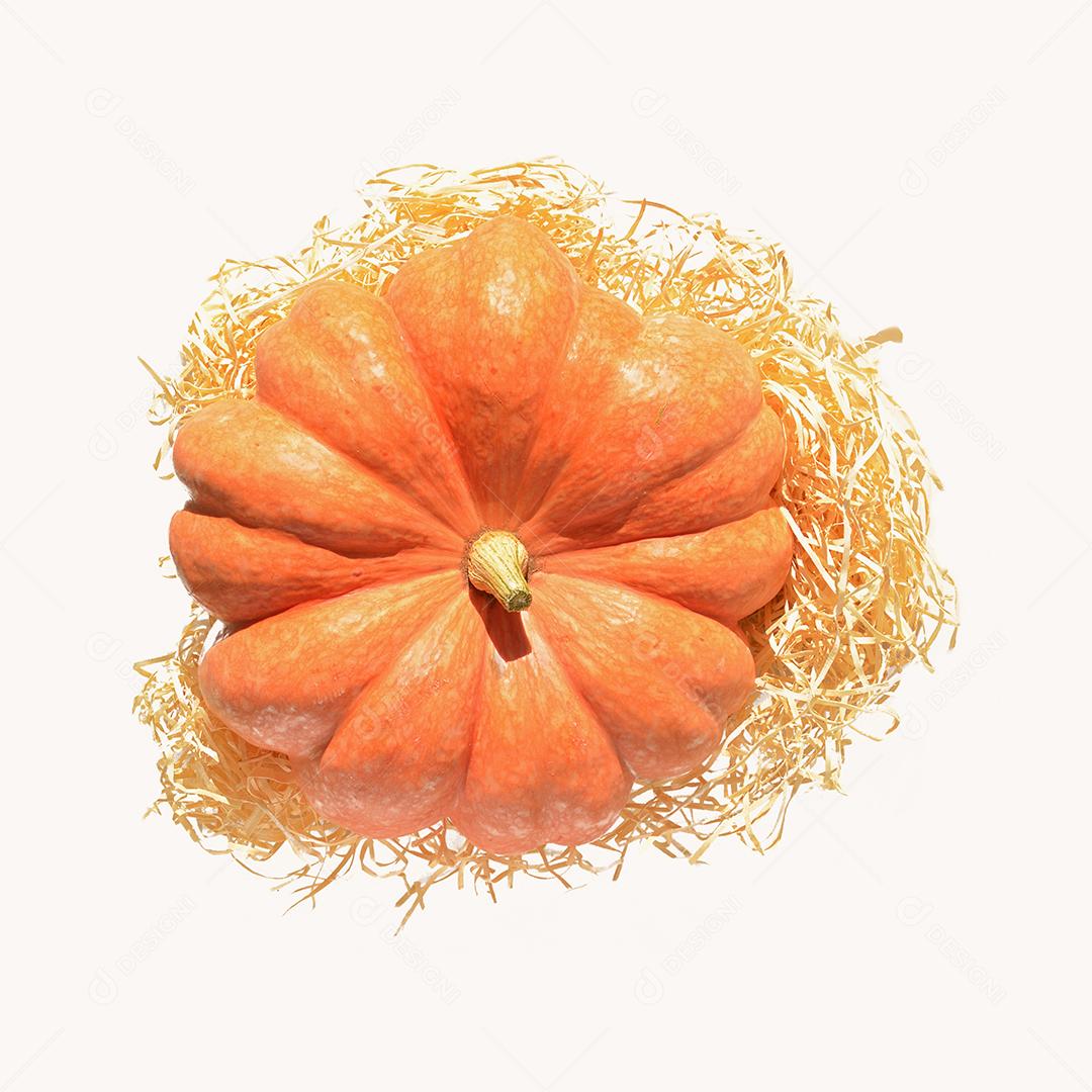 abóbora moranga madura isolada com palha sob luz solar