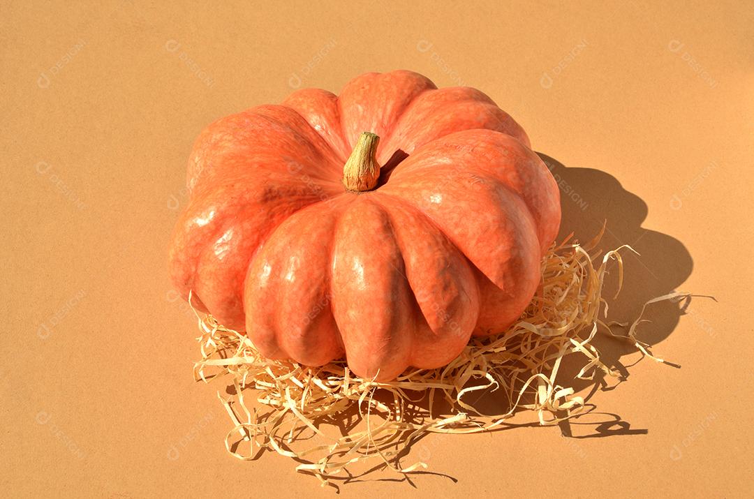 abóbora moranga madura sob o sol com palha em fundo neutro