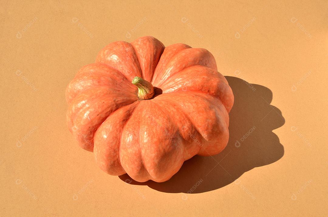 abóbora moranga madura sob o sol em fundo neutro