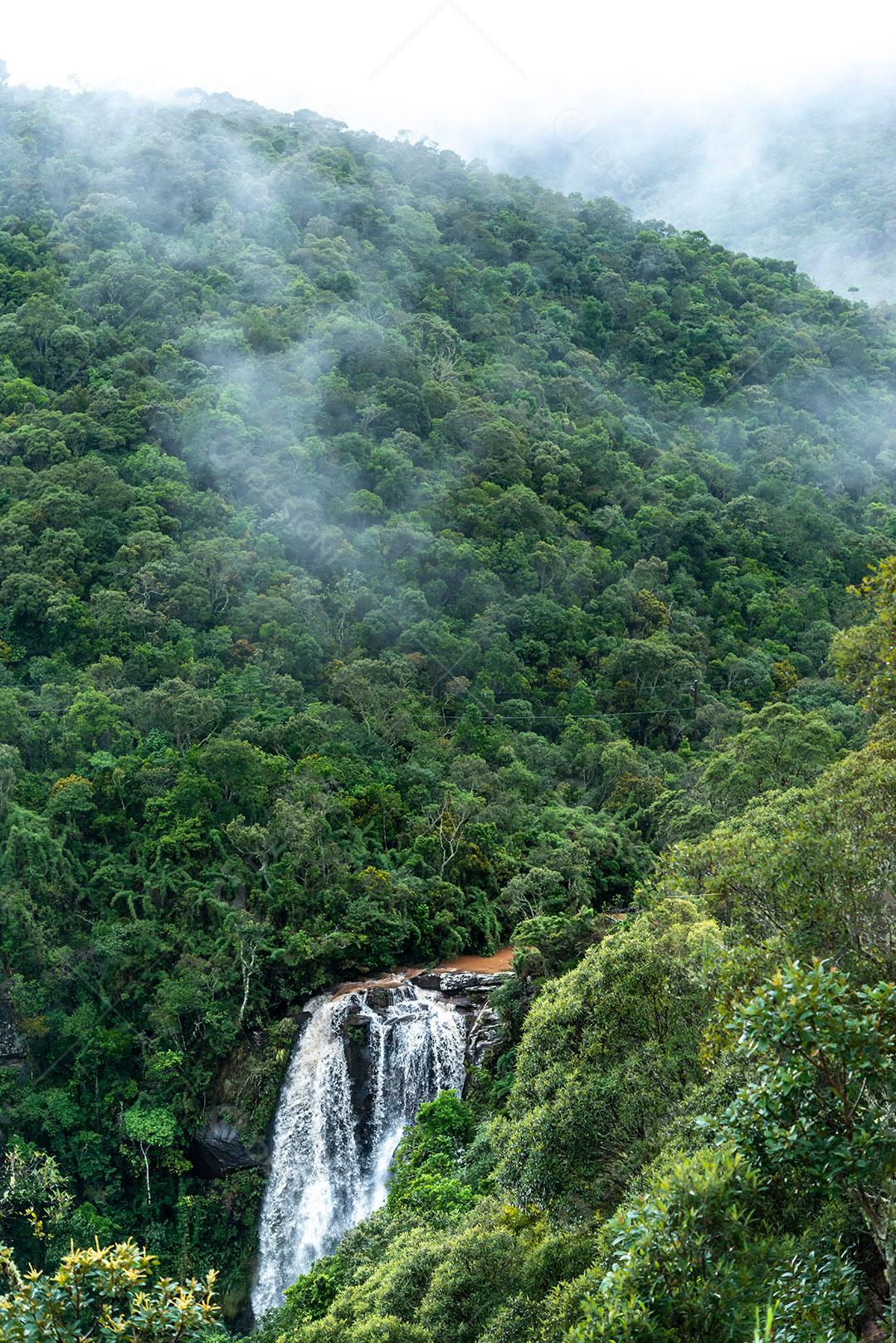 Floresta Tropical E Cachoeira Imagem JPG