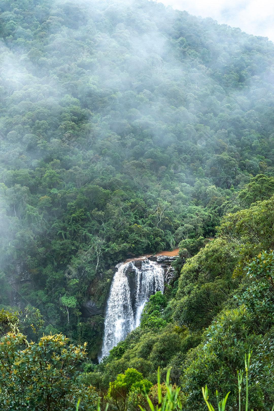 Cachoeira E Floresta Tropical Imagem JPG