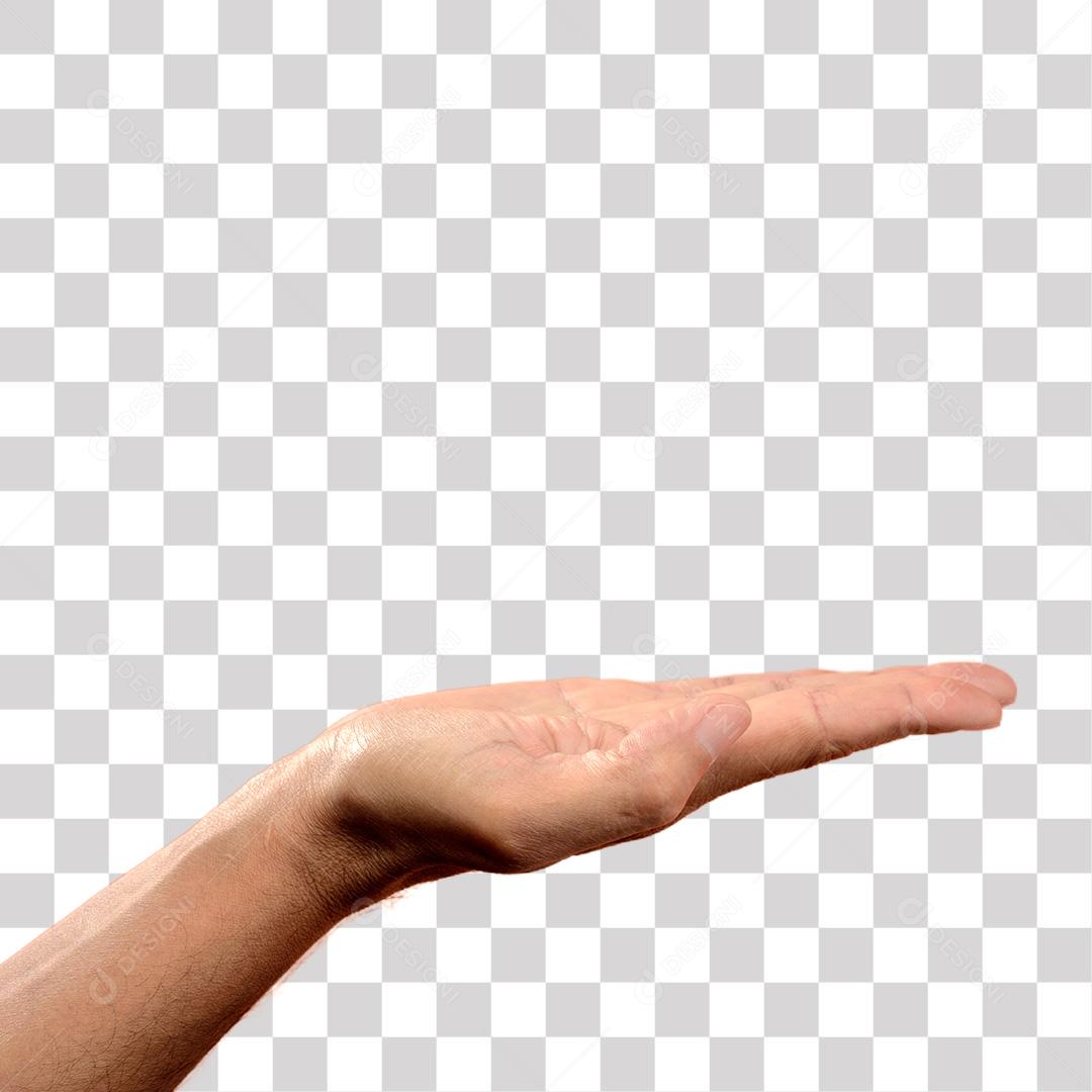 Mão pessoa Espalmada PNG Transparente