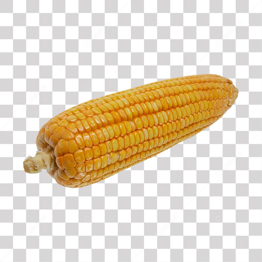 Espiga de Milho Orgânica PNG Transparente