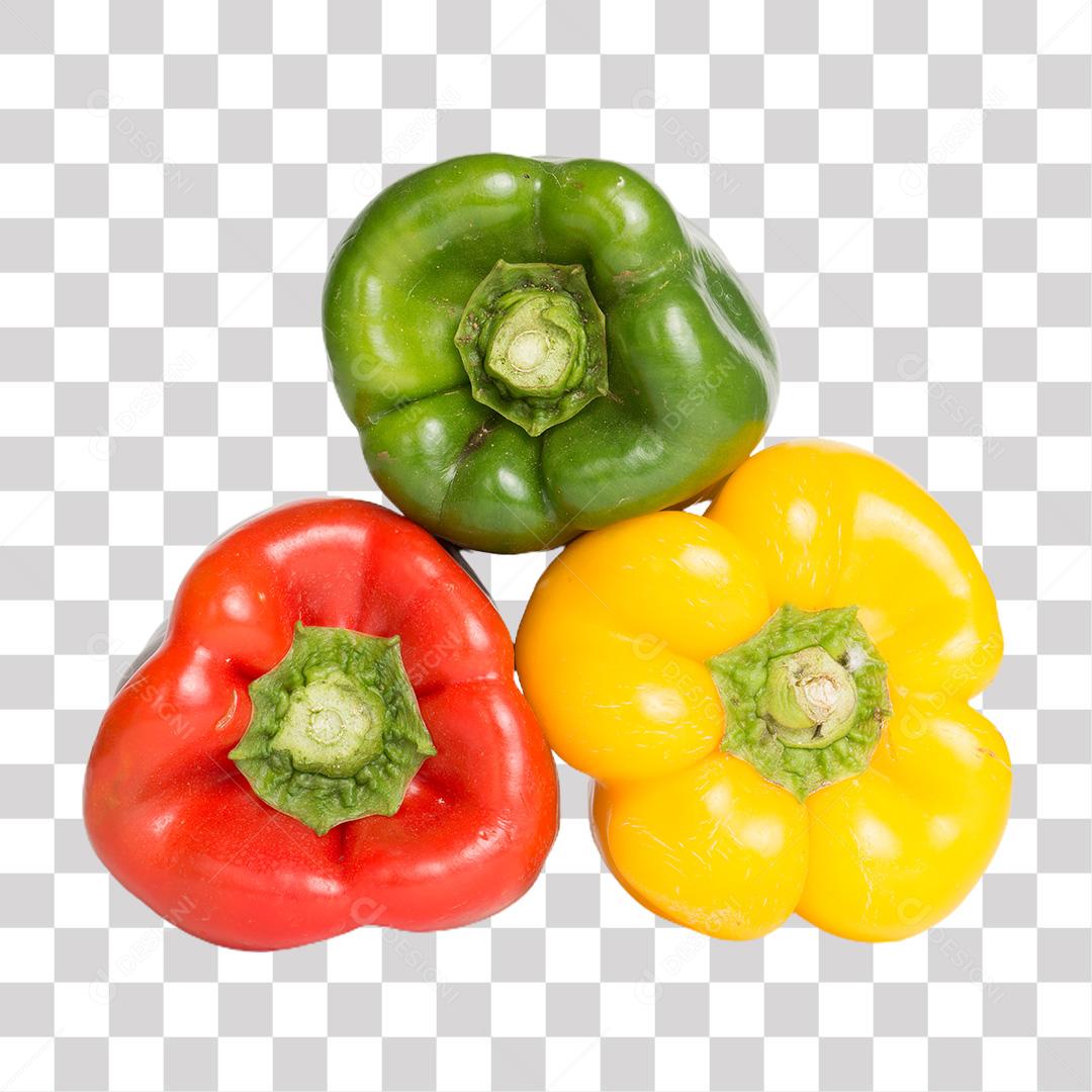 Pimentão Verde Vermelho E Amarelo Verduras Pimenta PNG Transparente