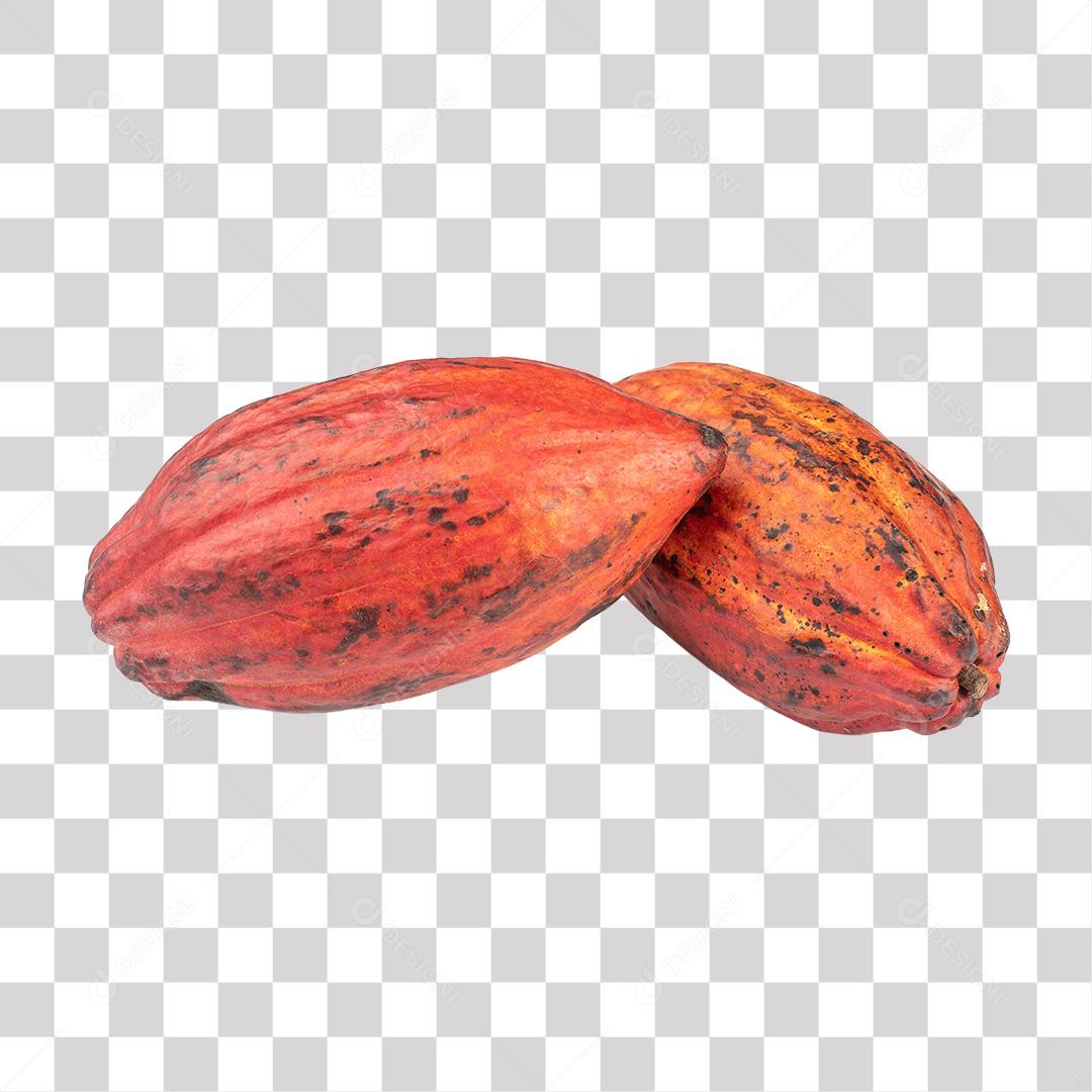 Frutos de Cacau Vermelho PNG Transparente Sem Fundo