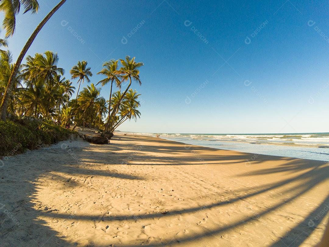 Paisagem Tropical Com Praia Com Coqueiros Ao Pôr do Sol Imagem JPG