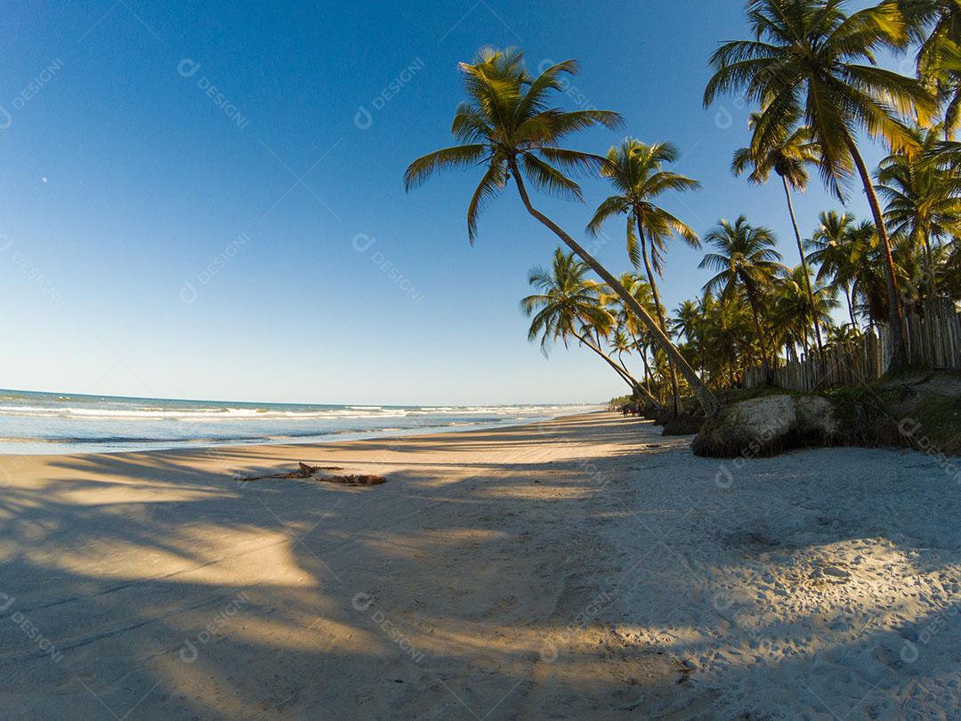 Paisagem Tropical Com Praia Com Coqueiros Ao Pôr do Sol Imagem JPG