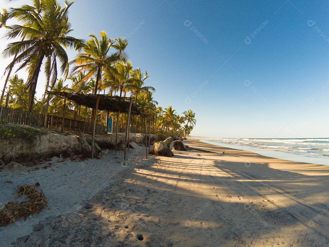 Paisagem Tropical Com Praia Com Coqueiros Ao Pôr do Sol Imagem JPG