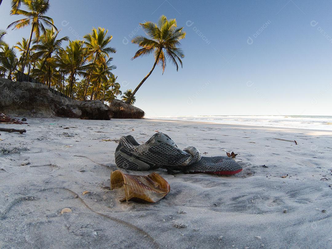 Paisagem Tropical Com Praia Com Coqueiros Ao Pôr do Sol Imagem JPG