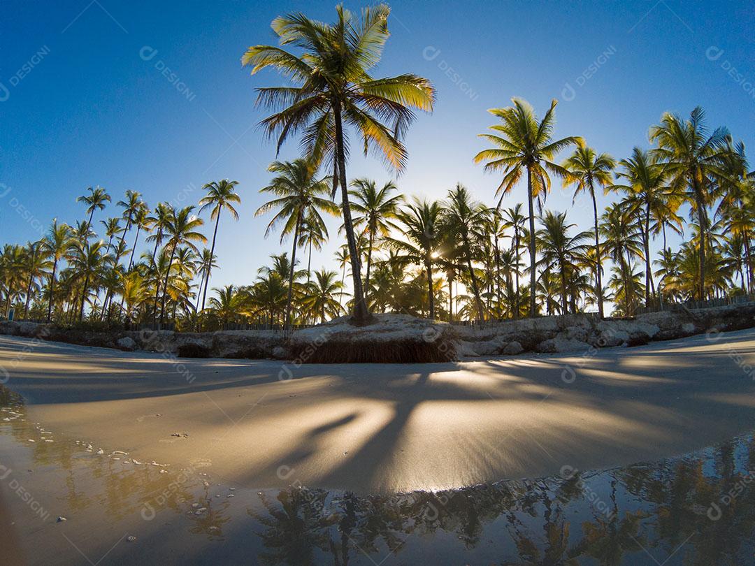 Paisagem Tropical Com Praia Com Coqueiros Ao Pôr do Sol Imagem JPG