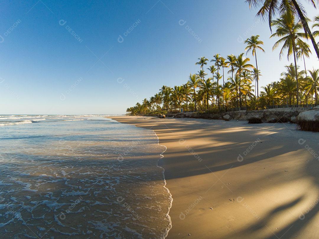 Paisagem Tropical Com Praia Com Coqueiros Ao Pôr do Sol Imagem JPG