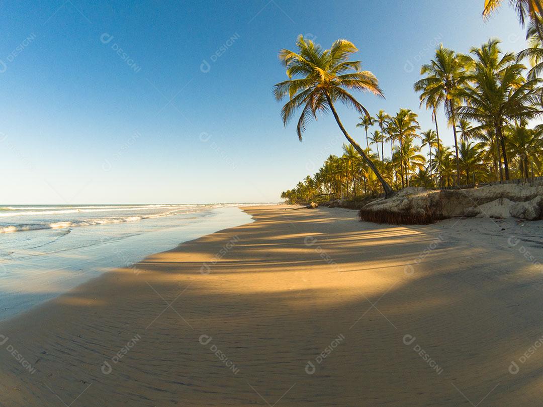 Paisagem Tropical Com Praia Com Coqueiros Ao Pôr do Sol Imagem JPG